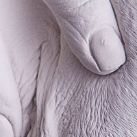 Intimabformung als Vollguss aus Alabastergips, schlicht gehalten.